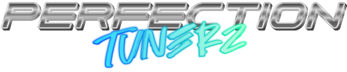 Logo Perfection Tunerz